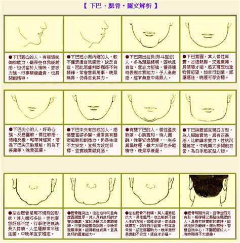 下巴厚道面相|面相大全——下巴